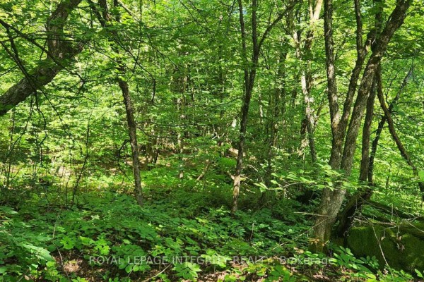 326 Wardens Road, Lanark Highlands, ON K0A1P0 Photo 5