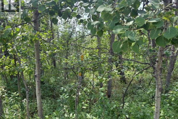 328, 22113 Twp Rd 440, Rural Camrose County, AB, photo 2