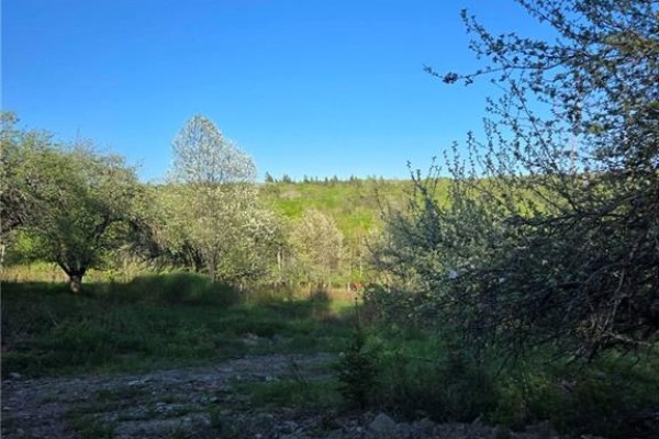 328 Drurys Cove Road, Drurys Cove, NB E4E3L6 Photo 2