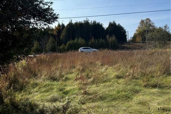 3288 Hwy 6, Northern Bruce Peninsula, ON N0H1W0 Photo 5