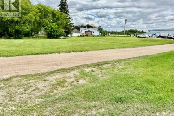 33-36 Shannon Street, Lanigan, SK S0K2M0 Photo 4