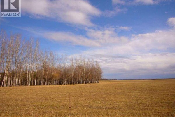 33-82-19-w5, Rural Northern Sunrise County, AB T8S1R8 Photo 3