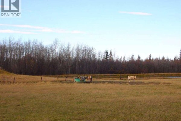 33-82-19-w5, Rural Northern Sunrise County, AB T8S1R8 Photo 4