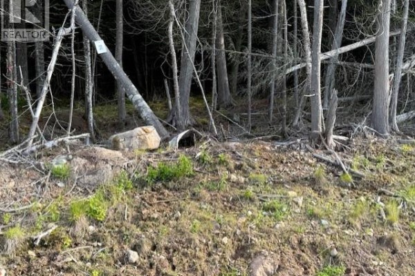 33 Alpenglow Drive, Quispamsis, NB E2G0M4 Photo 2