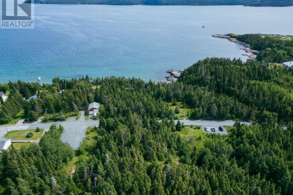 33 Barbour Avenue, Sandy Cove, NL, photo 3