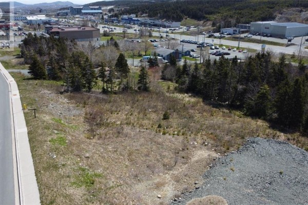 33 Kiwanis Street, St  John S, NL A1B0S1 Photo 5