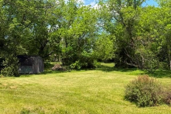 View of a cleared grassy area with a small wooden shed on the left and dense trees. - 33 Main Street, Tyndall