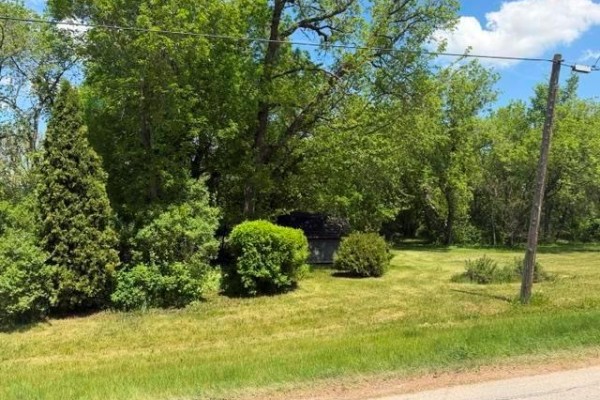 A tall evergreen tree and green bushes with a small wooden shed partially visible behind them. - 33 Main Street, Tyndall