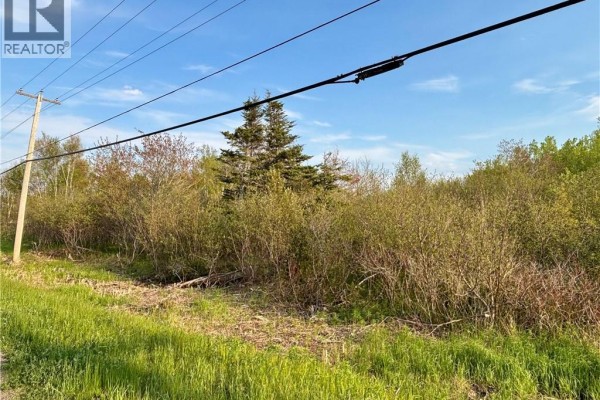 33.8 Acres Route 310, Coteau Road, NB E8T3K5 Photo 5