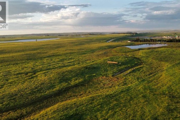 3300 George Freeman Trail, Strathmore, AB T1P2E5 Photo 3