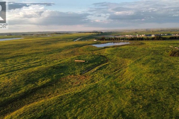 3300 George Freeman Trail, Strathmore, AB T1P2E5 Photo 4