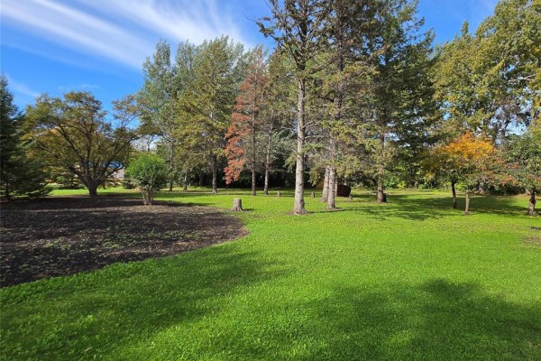 Green lawn with mature trees, some with autumn colors, under a bright blue sky. - 33153 25 Road W, Carman