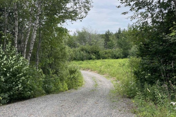 3316 Thomson Road, Hansford, NS B0M1P0 Photo 2