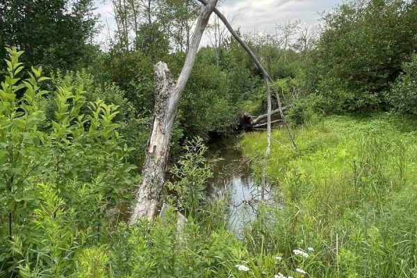 3316 Thomson Road, Hansford, NS B0M1P0 Photo 4