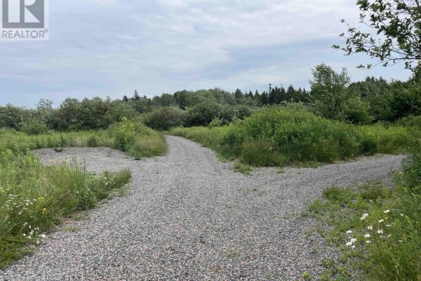 3316 Thomson Road, Hansford, NS B0M1P0 Photo 5