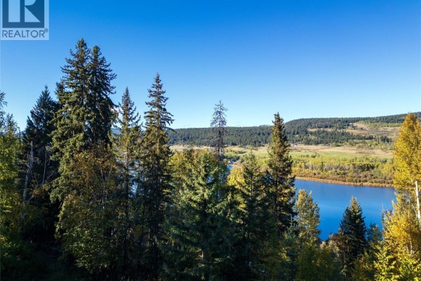 Aerial view of a wooded neighborhood with houses nestled among trees, overlooking a wide, blue lake. - 3324 Powell Road, Kamloops