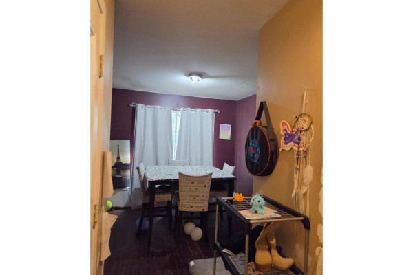 33325 7 Avenue, Mission, BC V2V2E4 Photo 4