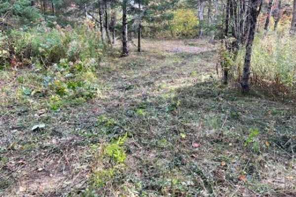 3335 358 Highway, Arlington, NS B0P1H0 Photo 5