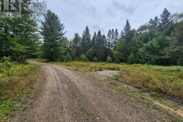 335 Woodland Drive, Mcmurrich/monteith, ON P0P1B0 Photo 2