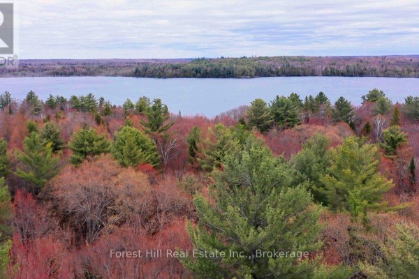 335 Woodland Drive, Mcmurrich/monteith, ON P0P1B0 Photo 3
