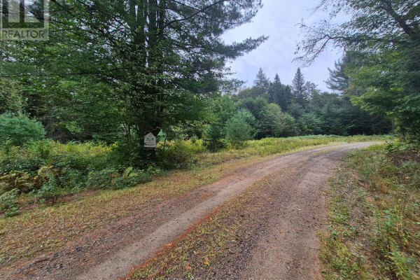 335 Woodland Drive, Mcmurrich/monteith, ON P0P1B0 Photo 5