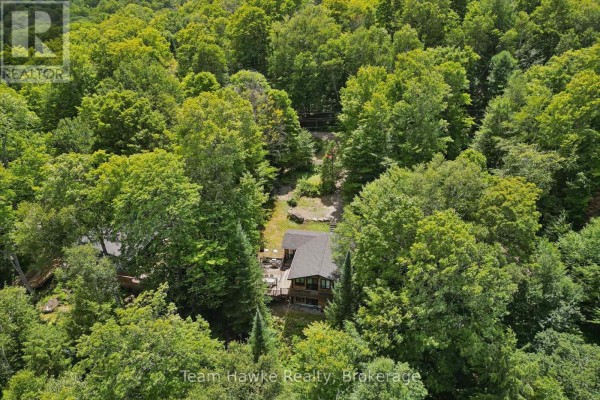3359 Maple Ridge Road, Algonquin Highlands, ON, photo 3