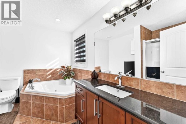 Family room - 336 Saddlemont Boulevard Ne, Calgary, AB T3J3M9 Photo 4