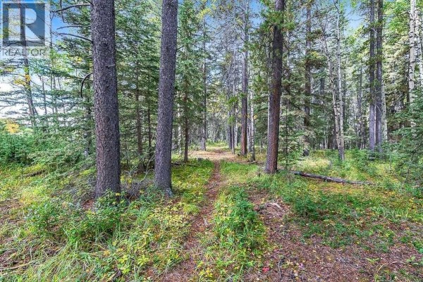 336 Street W, Rural Foothills County, AB T0L1W0 Photo 2