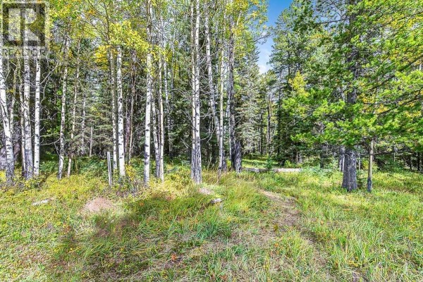 336 Street W, Rural Foothills County, AB T0L1W0 Photo 3