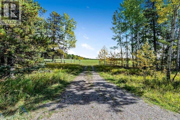 336 Street W, Rural Foothills County, AB T0L1W0 Photo 4
