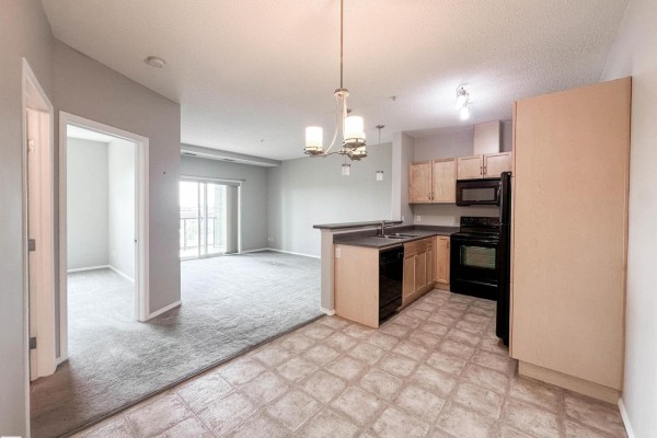 Primary Bedroom - #337 7825 71 St Nw, Edmonton, AB T6B3R9 Photo 4