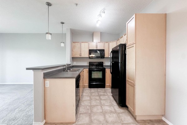 Laundry room - #337 7825 71 St Nw, Edmonton, AB T6B3R9 Photo 5