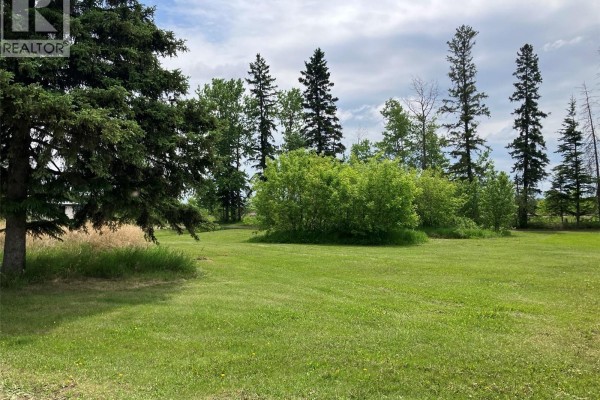 339 Railway Avenue E, Choiceland, SK S0J0M0 Photo 2