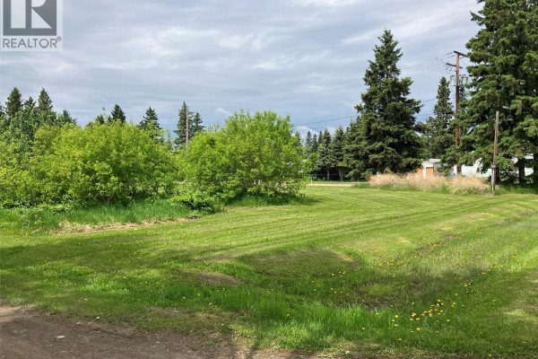 339 Railway Avenue E, Choiceland, SK S0J0M0 Photo 3