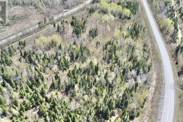 34-60 Rattling Brook Road, Norris Arm, NL A0G3M0 Photo 5