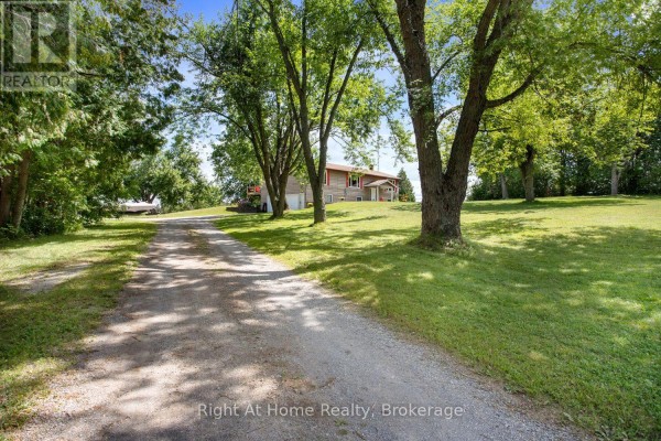 Gravel driveway leading to a two-story house surrounded by mature trees and green lawn. - 34 Birch Point Road, Kawartha Lakes