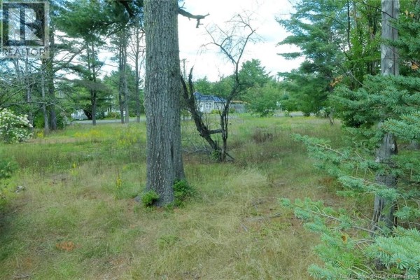 34 Post Road, Minto, NB E4B3A1 Photo 4