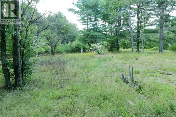 34 Post Road, Minto, NB E4B3A1 Photo 5
