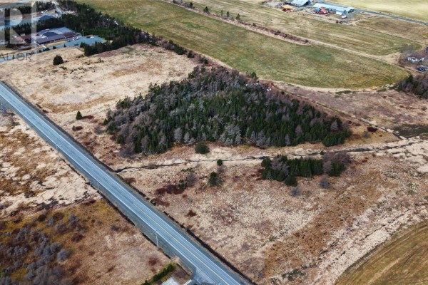 34 Ruby Line, St  John S, NL A1G1P9 Photo 5