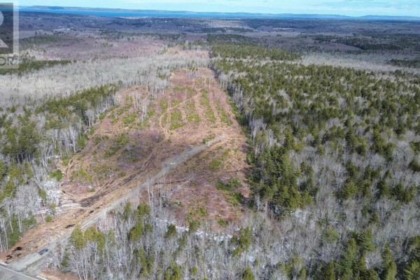 340 Highway, Weaver Settlement, NS B0W3T0 Photo 4