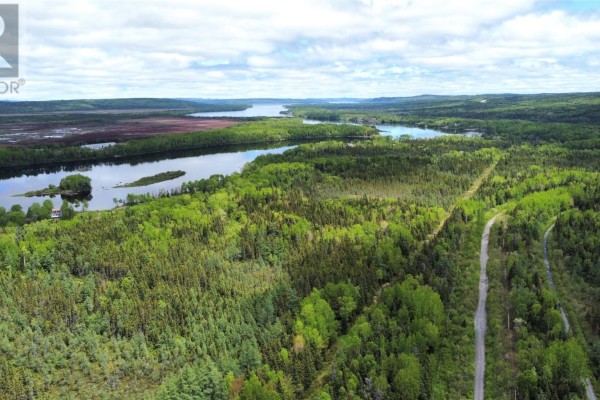 341624 Sandy Point Road, Norris Arm, NL A0G3M0 Photo 4
