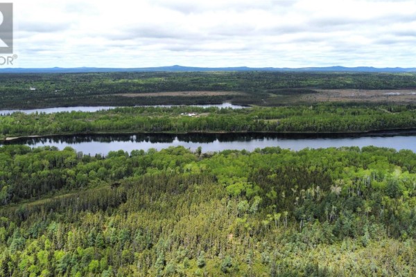 341624 Sandy Point Road, Norris Arm, NL A0G3M0 Photo 5