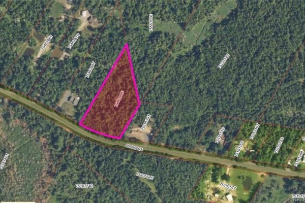342 Tripp Settlement Road, Keswick Ridge, NB E6L1W5 Photo 2