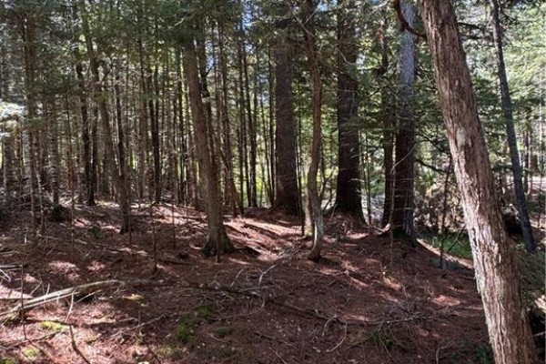 342 Tripp Settlement Road, Keswick Ridge, NB E6L1W5 Photo 4