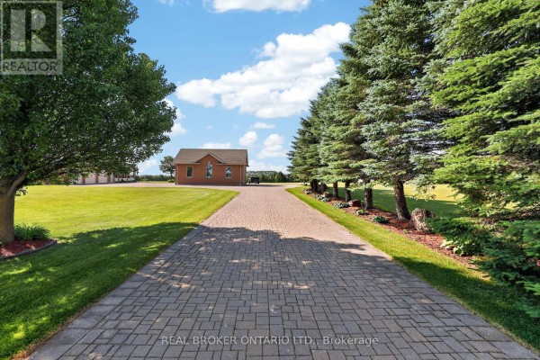 Office - 3421 Cole Road, East Gwillimbury, ON L0G1R0 Photo 3