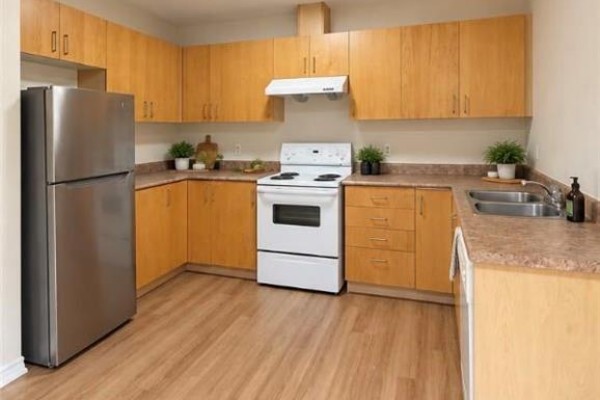 Kitchen with light wood cabinets, white appliances, and laminate flooring. - 343 Dalhousie Street, Brantford
