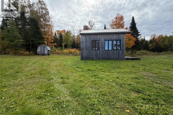 View of the rustic cabin and a detached shed from a grassy area with trees in the background. - 343 Hilltop Road, Hilltop