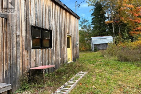 Side view of the wooden cabin with a yellow door, red table, and a ladder on the ground. - 343 Hilltop Road, Hilltop