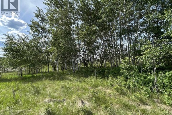 3440 Dunsmuir Road, Lac La Hache, BC V2J6V6 Photo 5