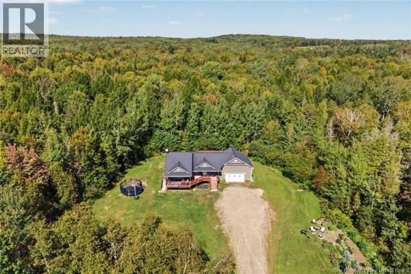 Aerial view of a house situated on a grassy hill surrounded by dense forest. - 3442 Route 105, Bear Island